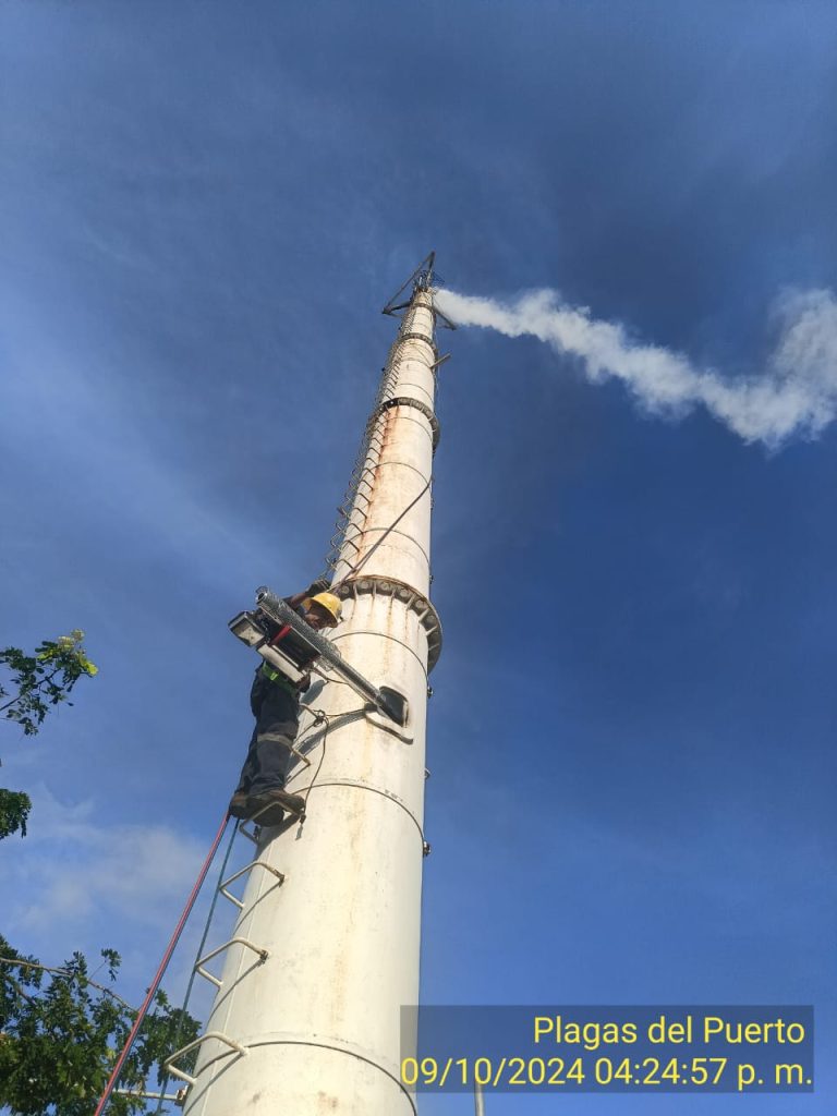 Fumigación Industrial 1