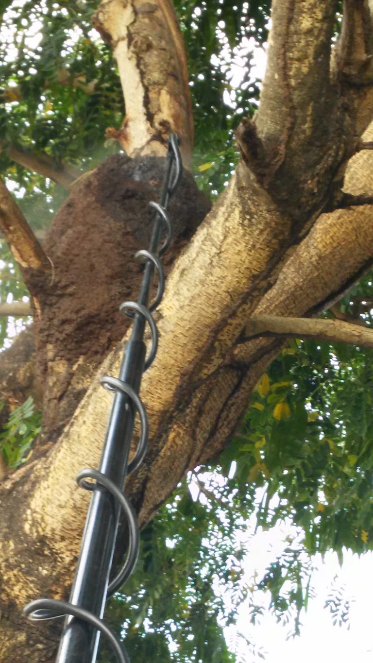 Termita