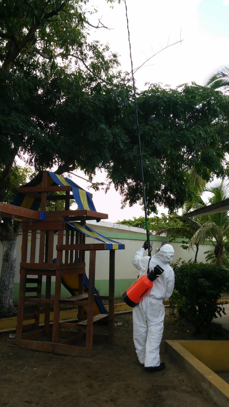 Tratamiento fitosanitario arbol